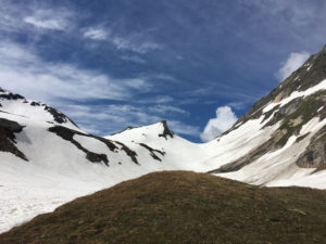 Val Ferret Juni 2019